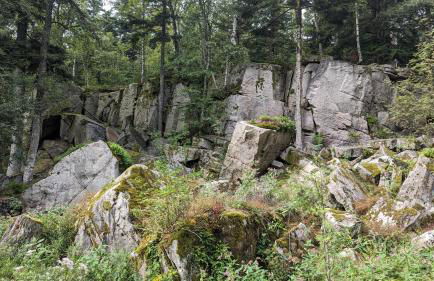 Waldhorn Dobel - Foto 79