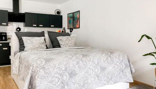 Studio near Altstadt /w Workspace, Feng-Shui & Art - Foto 2