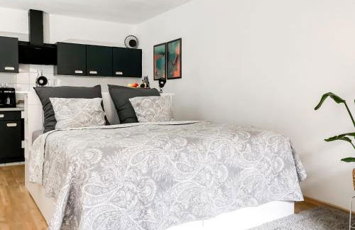 Studio near Altstadt /w Workspace, Feng-Shui & Art - Foto 2