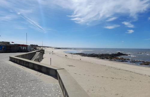 MindeloThePalm - Foto 25