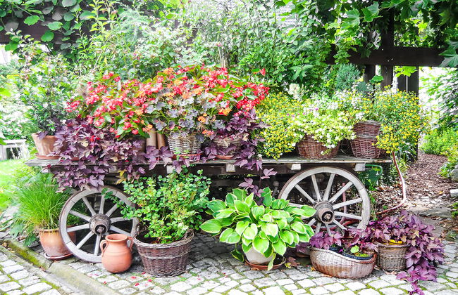 Haus Schwärzel - Foto 17