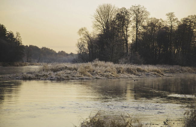 Stara Wieś Resort & Odnowa - Foto 63