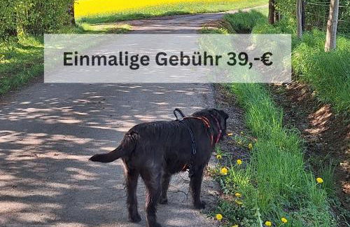 Kleine einzigartige Ferienwohnung auf dem Bauernhof, direkt in der Natur mit Blick auf Schloss Braunfels - Foto 42