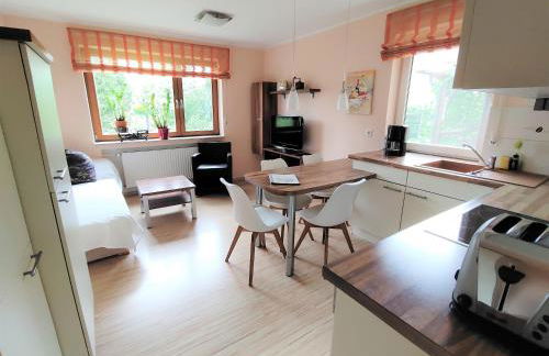 BodenSEE Apartments Daisendorf nahe Meersburg - Foto 1