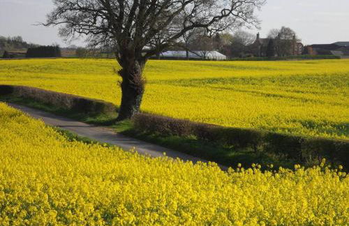 Courtside Barn, Lynn, Newport - Foto 17