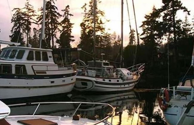 Salty Towers Oceanfront Cottages - Foto 41