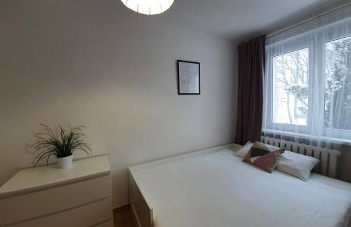 Mieszkanie 4-pokoje Gdańsk Zaspa - Photo 26