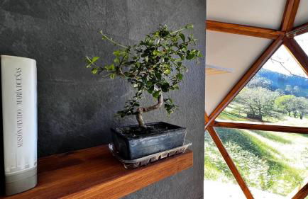 Domocantabria - Foto 24