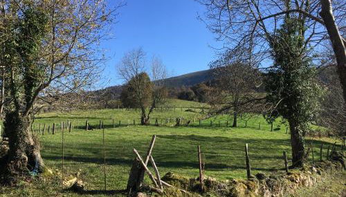 APARTAMENTOS LA LLONGAR - Foto 3