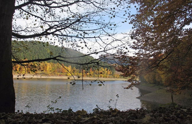 Holiday Home in Mielinghausen Near ski Area - Foto 37