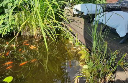 deluxe Doppelzimmer - Foto 32