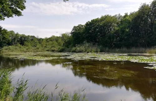 Getaway Near the Baltic - Foto 32