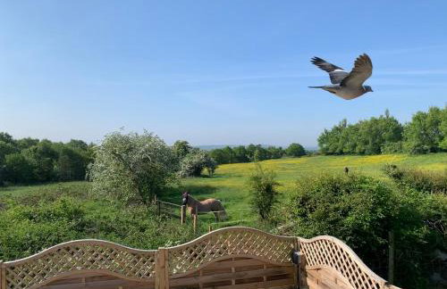 The Stables at Lower Carr Barn - Foto 56