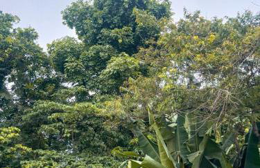 Fica Aki - Hospedagem Alta Floresta - Photo 4