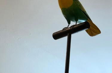 Tiki Paradise House & pool - 10 min to Beach! - Foto 26