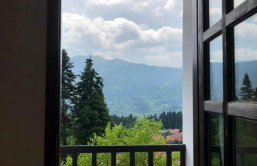 Panorama Elati - Foto 40