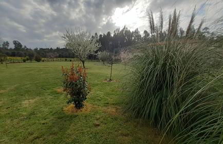 Casa de Coco - Foto 30