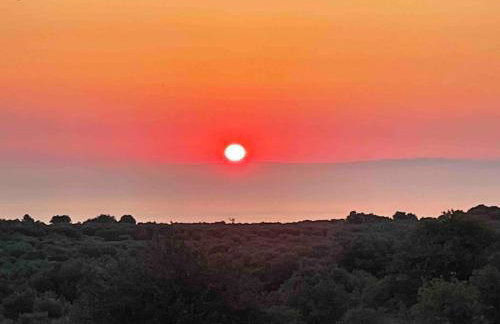 Entire Villa in Chania w private pool and kitchen - Foto 31