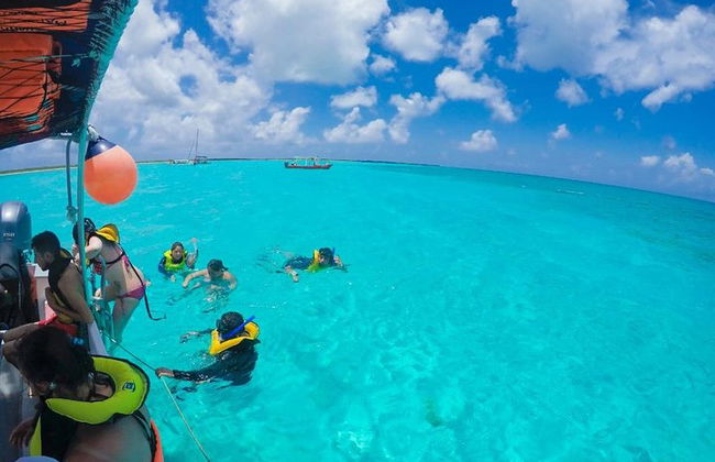Incrível tour de snorkeling de dia inteiro para Cozumel Cielo Starfish Reef - Foto 2