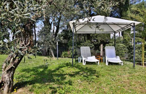 Agriturismo Fattoria Pagnana Wine & Pool - Foto 76