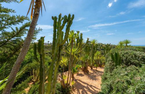 Vila dos Piscos - Foto 60