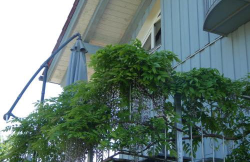 FERIENWOHNUNG LAURA LÄUFERs CHIEMSEE HOLIDAY HOME Gstadt - Foto 16