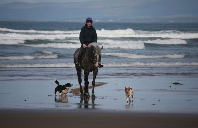 Portbeg Holiday Homes at Donegal Bay - Foto 25