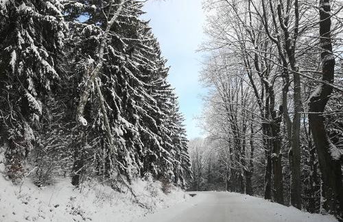 Sowi Dom - Jugów - Foto 41