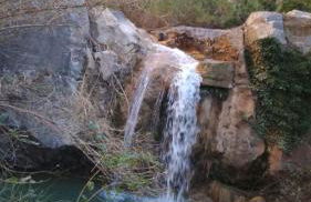 Mas de Leon - Foto 99