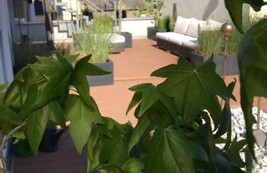 Ferienwohnung Rabennest - Foto 14