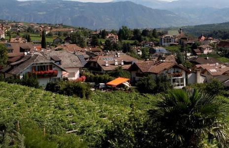 Millenniumshof - Foto 47