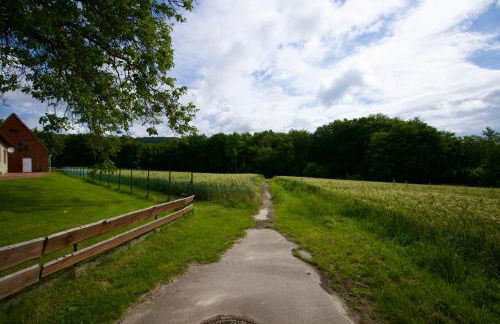 Ferienhaus Plattenberg - Foto 49
