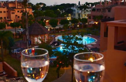 Flamenco Rose - Photo 51