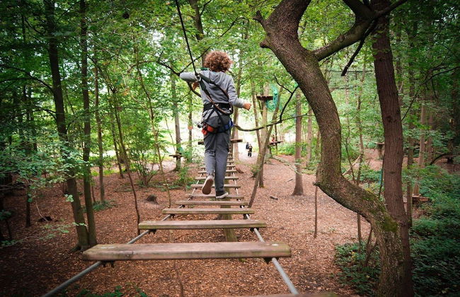 Etape en forêt - Foto 59