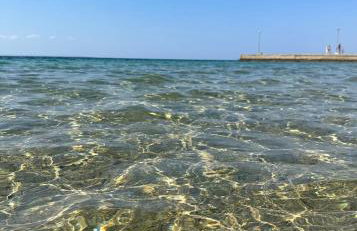 Artion Alfa Luxury - Photo 50