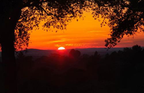 Herdade do Montinho - Foto 6