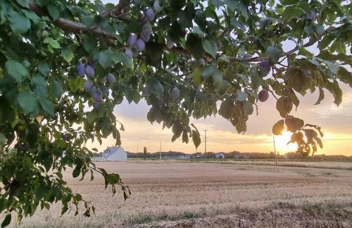 Les Gîtes Mina - Foto 24