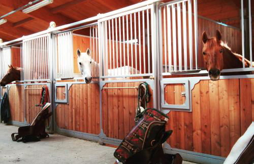 Agriturismo Il Colle del Falco - Photo 33