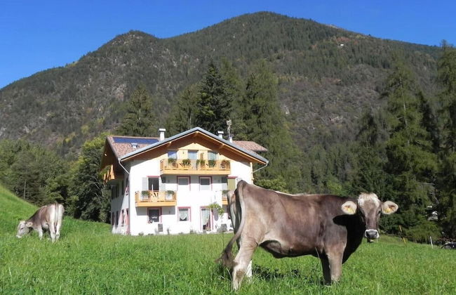 Agritur Sole Levante - Foto 52