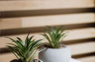 Xenia Serenity - Foto 35