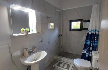 Irina's Apartment - Photo 47