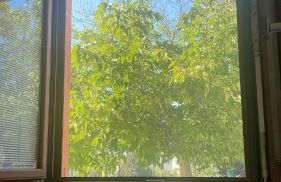 Villa Romina - Foto 76