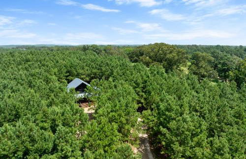 The Beary Top - Foto 68