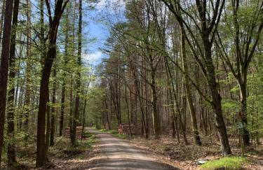 Pension Lausa - Foto 22