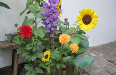 Im Alten Kaufhaus - Foto 16