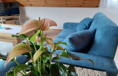 Ferienwohnung am Patenberg - Foto 2