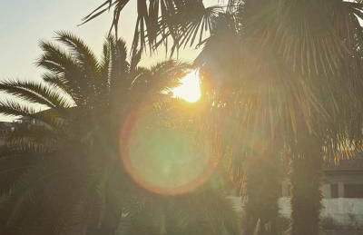 Il Gattino di Porto 2 - terrazzo piscina - Foto 25