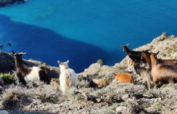 Villa Iremia, Piscine à Débordement & Vue Mer Panoramique - Foto 54