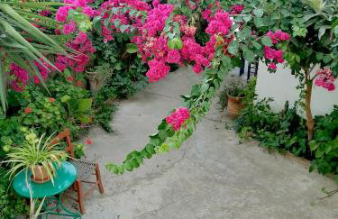 Katerina Rooms & Studios - Foto 37