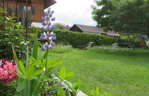 Landhaus Familie Doll Ferienwohnung Emerde - Foto 14